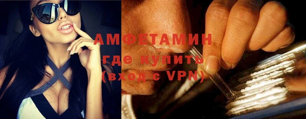 шишки Бородино