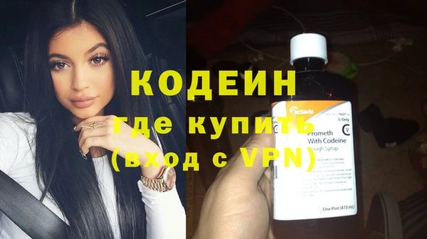 шишки Бородино