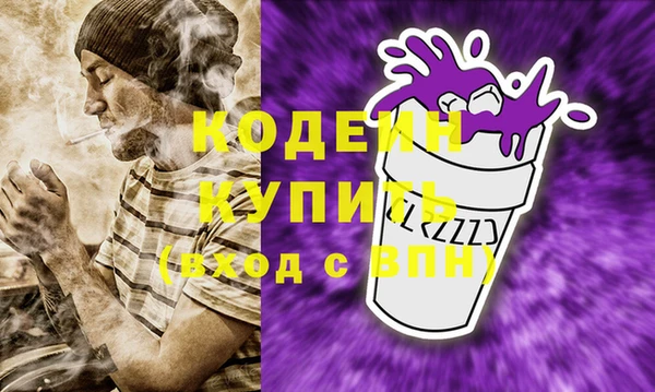 шишки Бородино