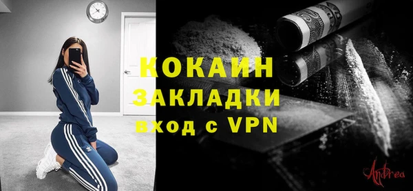 шишки Бородино