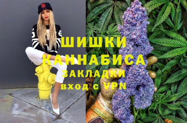 шишки Бородино