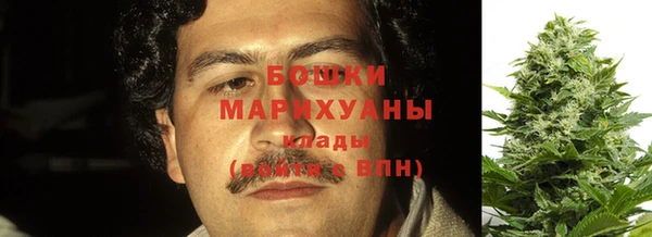 шишки Бородино
