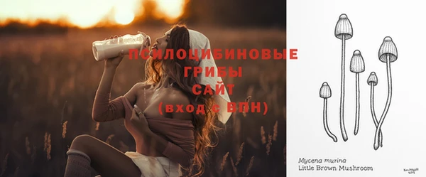 шишки Бородино
