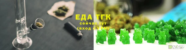 шишки Бородино
