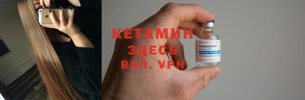 шишки Бородино