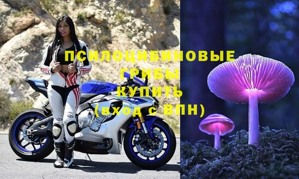 метадон Сатка