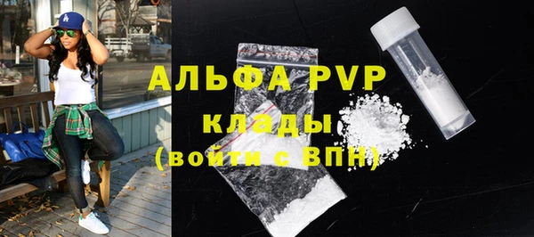 шишки Бородино