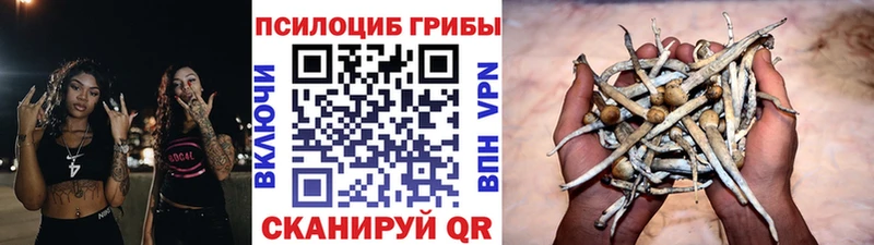 Псилоцибиновые грибы ЛСД  хочу наркоту  Йошкар-Ола 